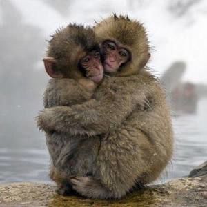 Meet your Posher, Elva